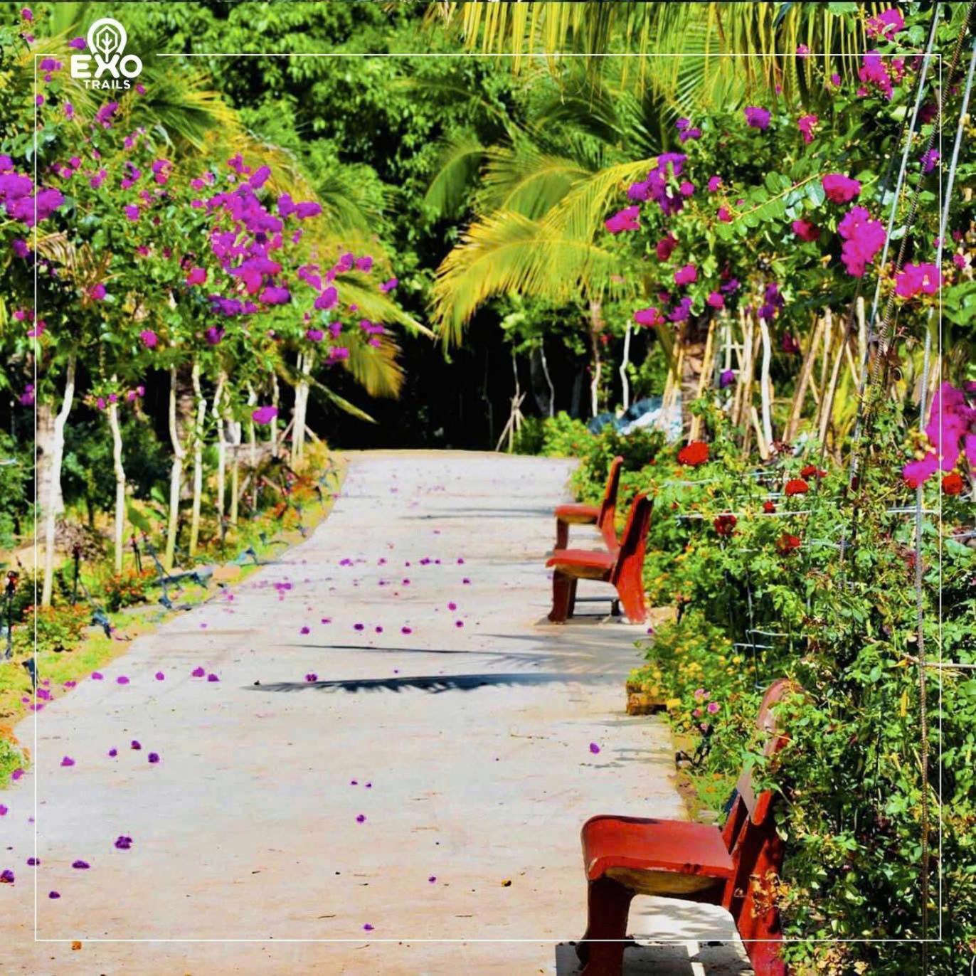 Phu Dien Homestay Каттьен Экстерьер фото